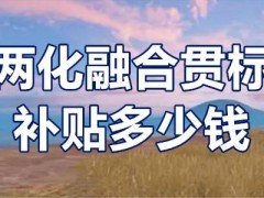 兩化融合貫標(biāo)補(bǔ)貼多少錢？?jī)苫诤县灅?biāo)補(bǔ)貼條件？